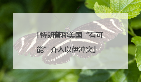 特朗普称美国“有可能”介入以伊冲突