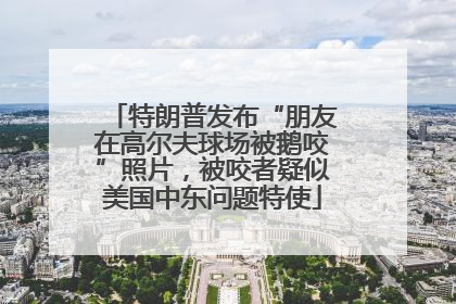 特朗普发布“朋友在高尔夫球场被鹅咬”照片，被咬者疑似美国中东问题特使
