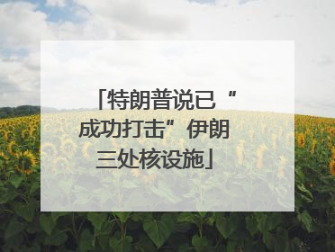 特朗普说已“成功打击”伊朗三处核设施
