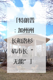 特朗普：加州州长和洛杉矶市长“无能”