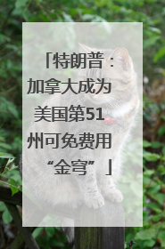 特朗普：加拿大成为美国第51州可免费用“金穹”