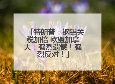 特朗普：钢铝关税加倍 欧盟加拿大：强烈遗憾！强烈反对！