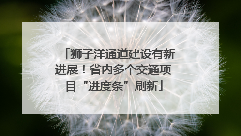 狮子洋通道建设有新进展！省内多个交通项目“进度条”刷新