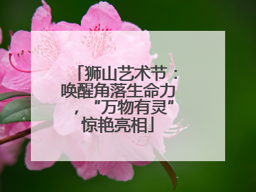 狮山艺术节：唤醒角落生命力，“万物有灵”惊艳亮相