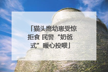 猫头鹰幼崽受惊拒食 民警“奶爸式”暖心投喂