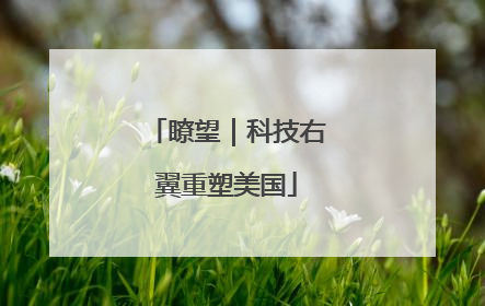 瞭望｜科技右翼重塑美国