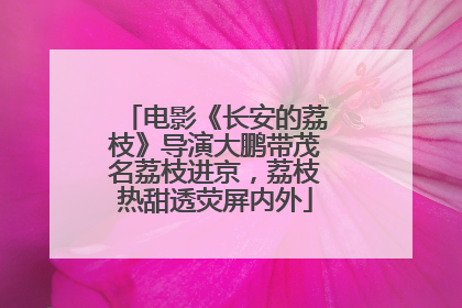 电影《长安的荔枝》导演大鹏带茂名荔枝进京，荔枝热甜透荧屏内外
