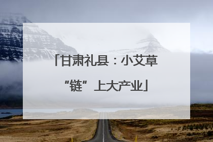 甘肃礼县：小艾草“链”上大产业