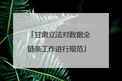 甘肃立法对数据全链条工作进行规范