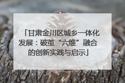 甘肃金川区城乡一体化发展：破茧“六维”融合的创新实践与启示