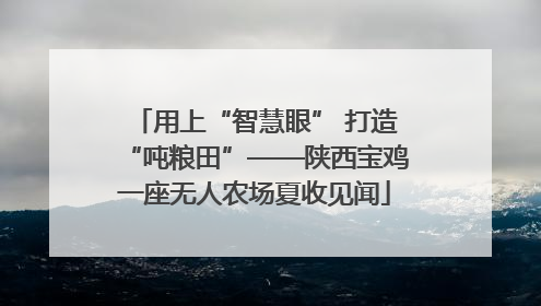 用上“智慧眼” 打造“吨粮田”——陕西宝鸡一座无人农场夏收见闻