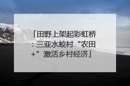 田野上架起彩虹桥：三亚水蛟村“农田+”激活乡村经济