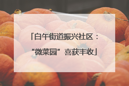 白午街道振兴社区：“微菜园”喜获丰收