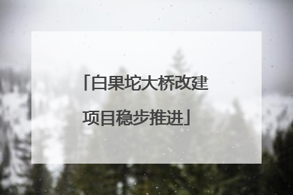 白果坨大桥改建项目稳步推进