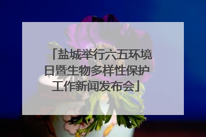 盐城举行六五环境日暨生物多样性保护工作新闻发布会