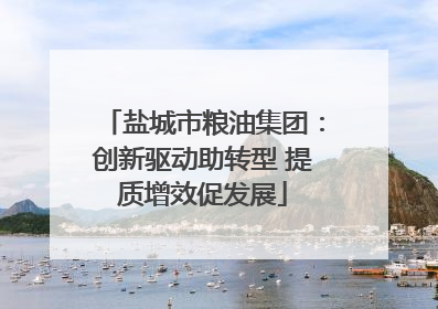 盐城市粮油集团：创新驱动助转型 提质增效促发展