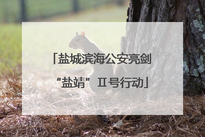 盐城滨海公安亮剑“盐靖”Ⅱ号行动