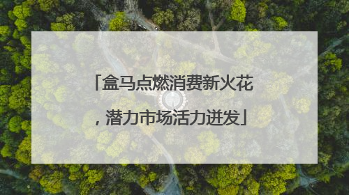 盒马点燃消费新火花，潜力市场活力迸发