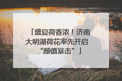 盛夏荷香浓！济南大明湖荷花率先开启“颜值暴击”