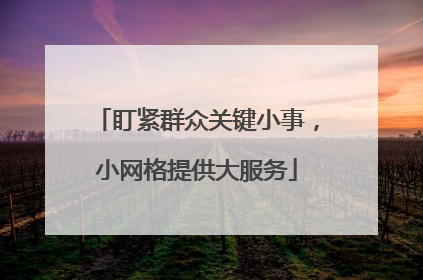 盯紧群众关键小事，小网格提供大服务