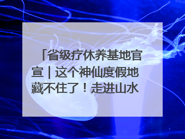 省级疗休养基地官宣｜这个神仙度假地藏不住了！走进山水秘境 开启一场野奢度假之旅！