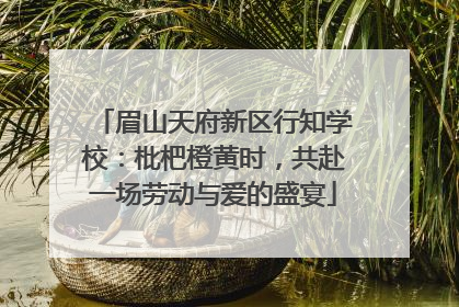 眉山天府新区行知学校：枇杷橙黄时，共赴一场劳动与爱的盛宴