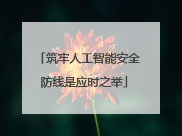 筑牢人工智能安全防线是应时之举