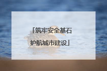 筑牢安全基石 护航城市建设