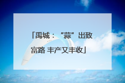 禹城：“蒜”出致富路 丰产又丰收