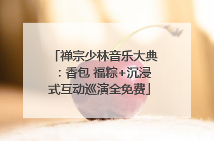 禅宗少林音乐大典：香包 福粽+沉浸式互动巡演全免费