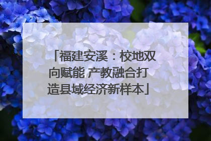 福建安溪：校地双向赋能 产教融合打造县域经济新样本