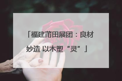 福建莆田展团：良材妙造 以木塑“灵”