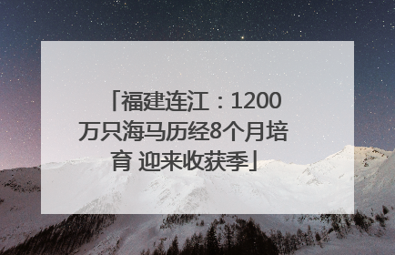 福建连江：1200万只海马历经8个月培育 迎来收获季