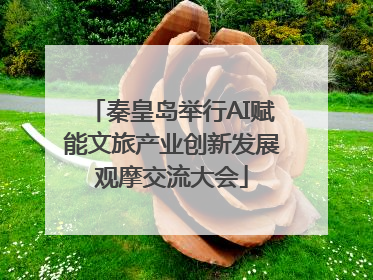 秦皇岛举行AI赋能文旅产业创新发展观摩交流大会