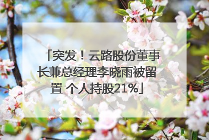 突发！云路股份董事长兼总经理李晓雨被留置 个人持股21%