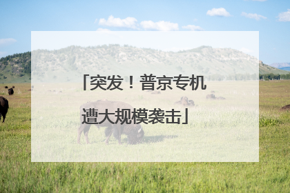突发！普京专机遭大规模袭击