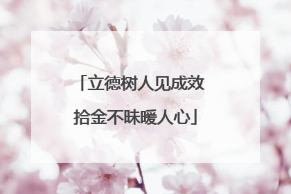 立德树人见成效 拾金不昧暖人心