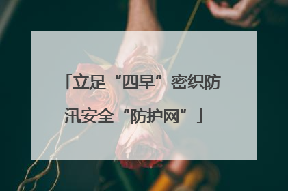 立足“四早”密织防汛安全“防护网”