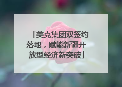 美克集团双签约落地，赋能新疆开放型经济新突破
