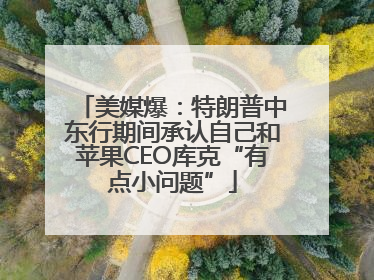 美媒爆：特朗普中东行期间承认自己和苹果CEO库克“有点小问题”