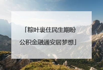 粽叶裹住民生期盼 公积金融通安居梦想