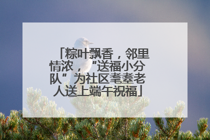 粽叶飘香，邻里情浓，“送福小分队”为社区耄耋老人送上端午祝福