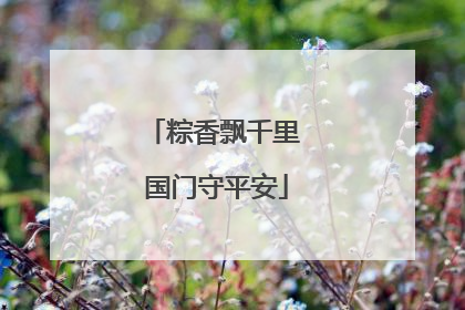 粽香飘千里 国门守平安