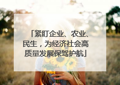 紧盯企业、农业、民生，为经济社会高质量发展保驾护航