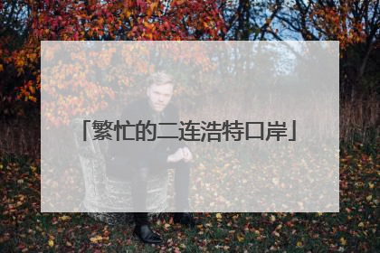 繁忙的二连浩特口岸