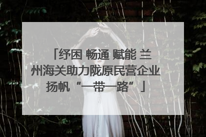纾困 畅通 赋能 兰州海关助力陇原民营企业扬帆“一带一路”