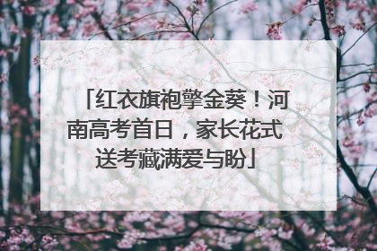 红衣旗袍擎金葵！河南高考首日，家长花式送考藏满爱与盼