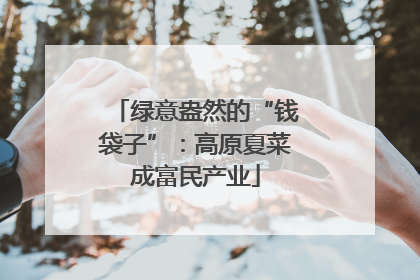 绿意盎然的“钱袋子”：高原夏菜成富民产业