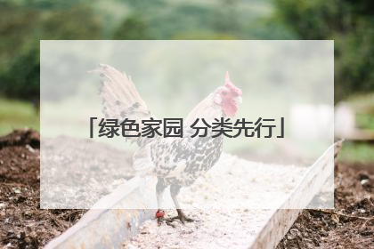 绿色家园 分类先行