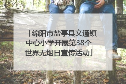 绵阳市盐亭县文通镇中心小学开展第38个世界无烟日宣传活动
